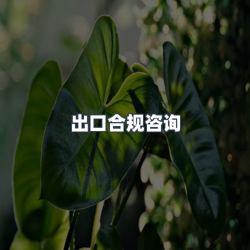 服务优势